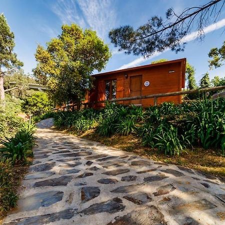 Hostal Arrabia Bunga Payva Raiva Exterior foto