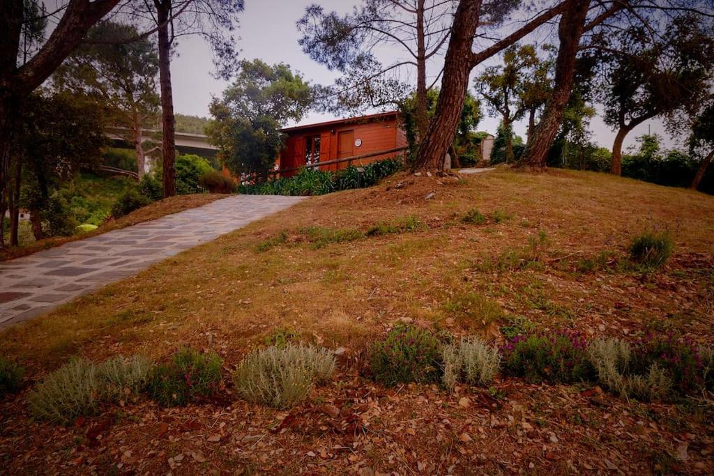 Hostal Arrabia Bunga Payva Raiva Exterior foto