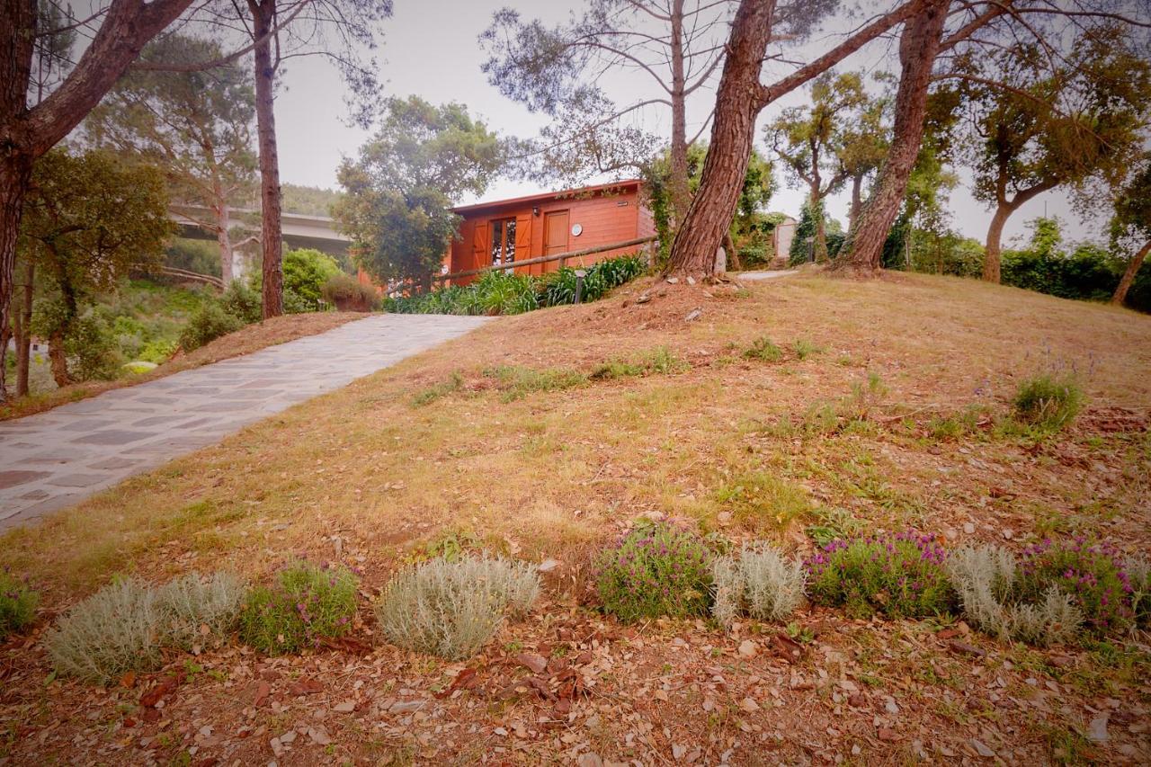 Hostal Arrabia Bunga Payva Raiva Exterior foto